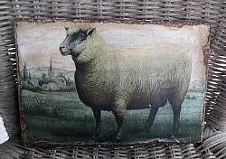 PRIMITIVE SHEEP PRINT ON WOOD BOARD